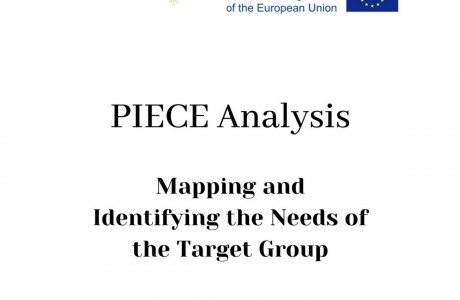 PIECE Analysis: Mapping and Identifying the Needs of the Target Group